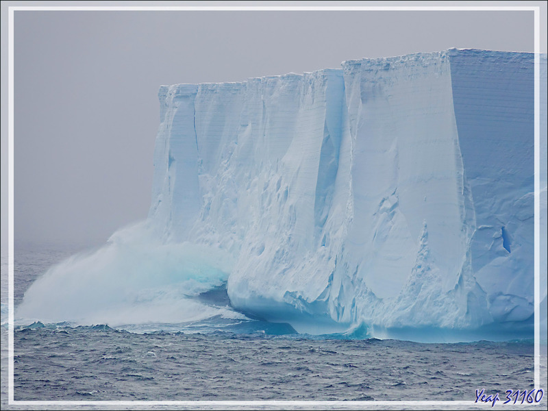 Les icebergs de Bellingshausen Sea en attendant ceux de demain de Amundsen Sea ...