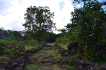 Randonnée de la Grande Fontaine au Bassin Sandrine par le Chemin Charrette Boeuf