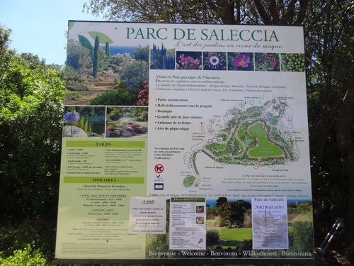 L'île Rousse et le parc de Saleccia