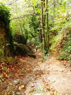 Golinhac / Conques 23km