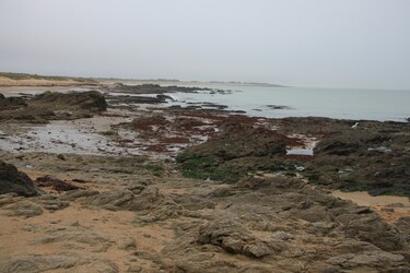 L'HERBAUDIÈRE - NOIRMOUTIER