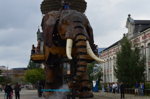L'éléphant à Nantes (44)