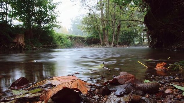 L'état "calamiteux" des rivières : 2,8 millions de Français boivent de l'eau polluée