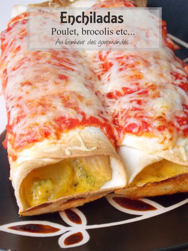 Enchiladas au poulet brocolis etcccc, un délice