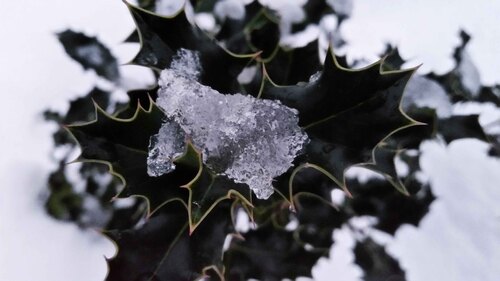 La première neige...