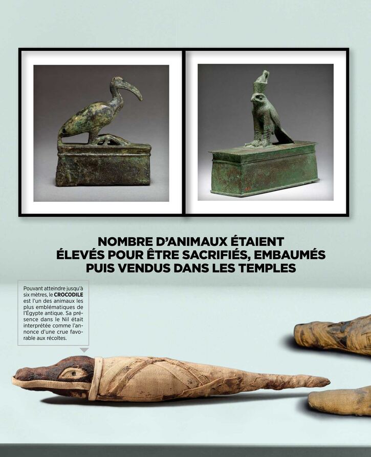 Histoire Ancienne 2: Égypte - Mystérieux compagnons momifiés (8 pages)