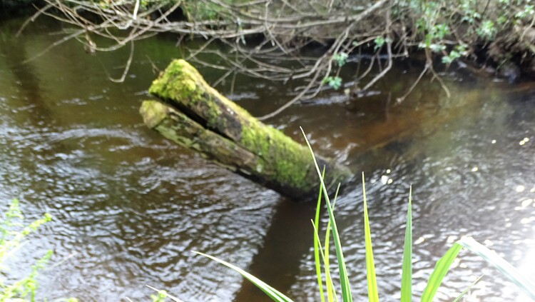Longer le ruisseau vers Pont Kerran Languidic (3)