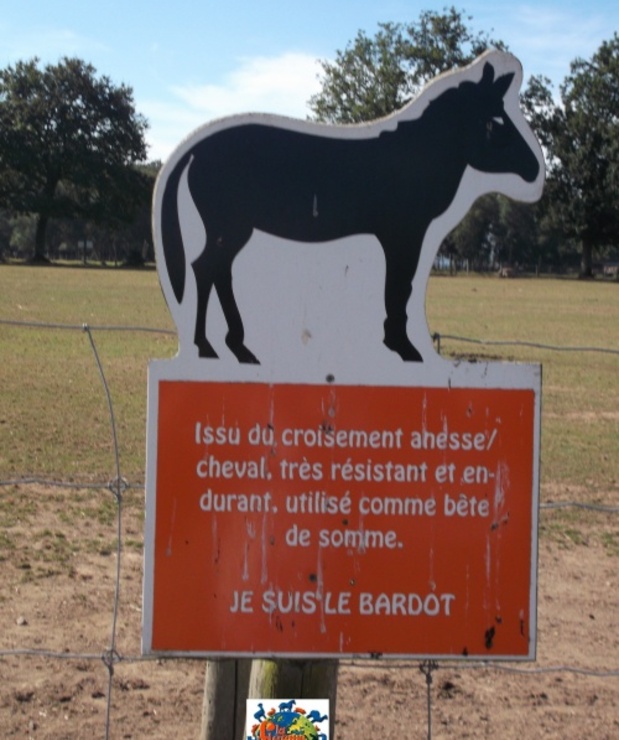 FERME DU MONDE CARENTOIR 56 le parc animalier  1/4