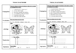 travail en autonomie ce1 ce2