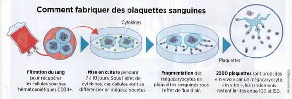 Du sang pour les transfusions.