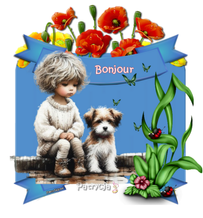 bonjour tout le monde 