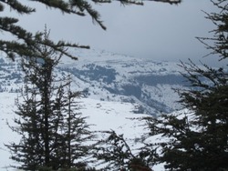 Le Liban sous la neige