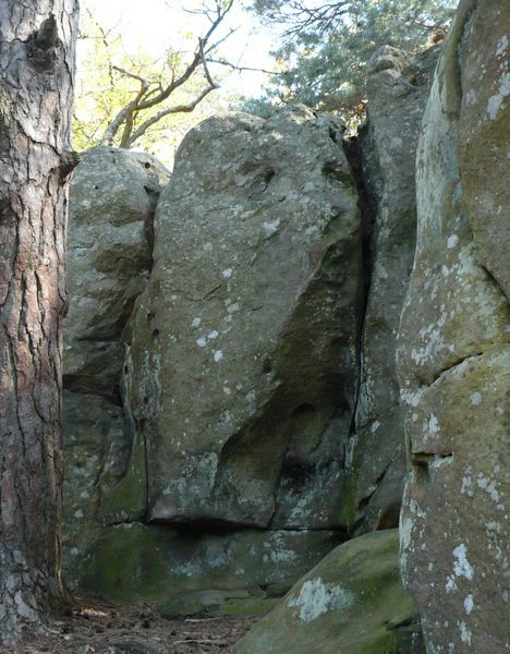 Fontainebleau-avril11-24.jpg