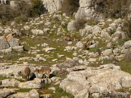 Le parc naturel du Torcal