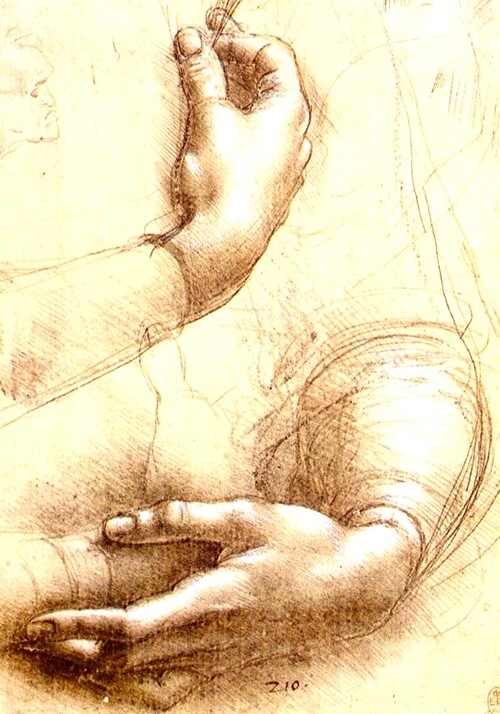 1.léonard de Vinci / Carnet de dessins 1.