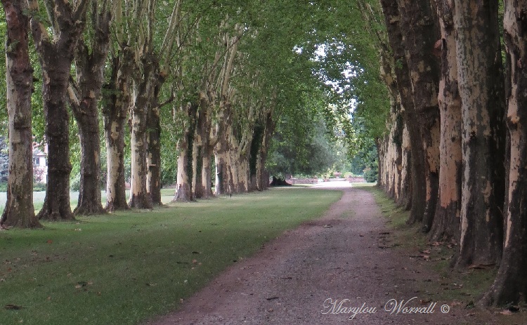 Parc de Schoppenwihr 68 : Son histoire