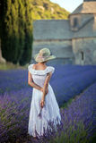 La lavande de Provence ... 