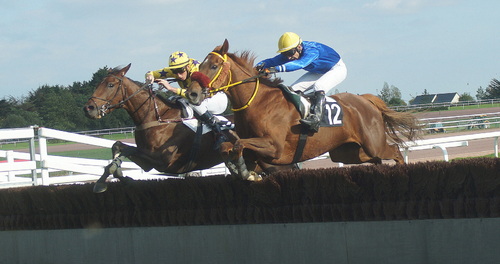 Hippodrome de la Baie Yffiniac - Réunion du 13 octobre 2013