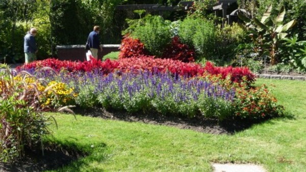 Jardin botanique (94)