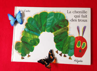 De la chenille au papillon