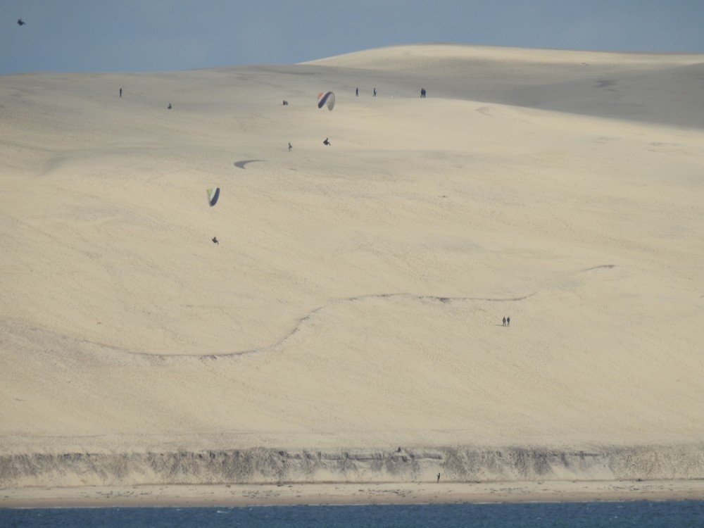 Balade à la Pointe du Cap-Ferret en avril 2018...