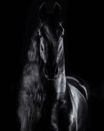 Coureuse Grèves torrent captif Mélanie Dufresne