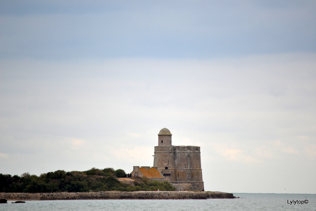 De Barfleur à Saint Vaast La Hougue