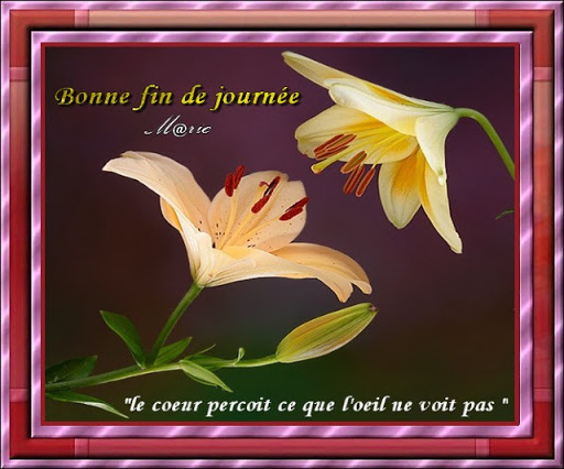 ipernity: bonne fin de journée pour chacun de vous *** - by M@rie ...