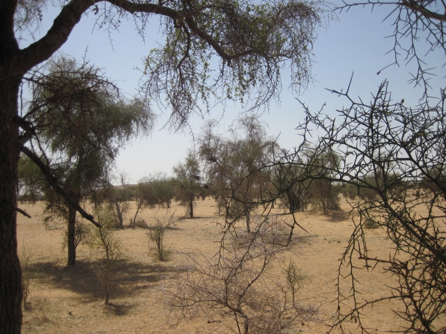 Mauritanie Route de l'Espoir
