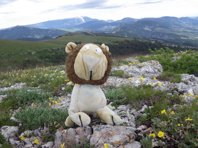 mascotte en montagne