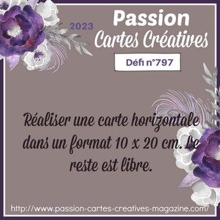 Passion Cartes Créatives#797 ! 