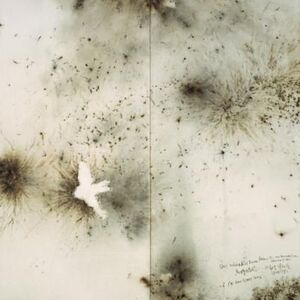 Glass-crashing Birds Three project by Cai Guo-Qiang