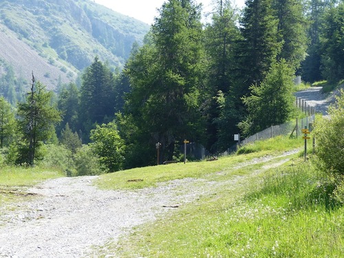 Le long de la Rouanne (Ancelle - Champsaur)