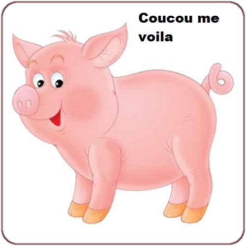 Le petit cochon rose