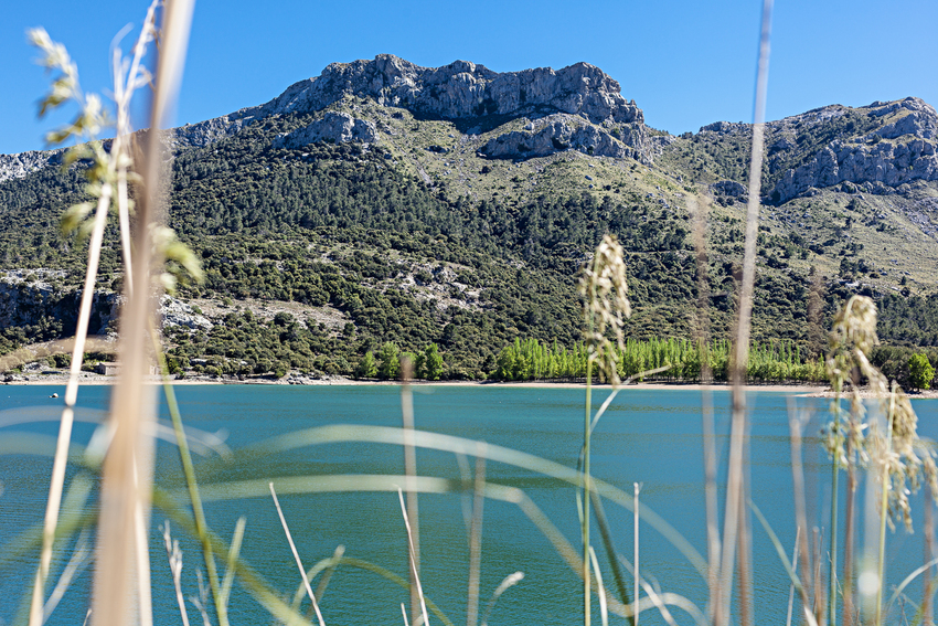 lac de cuber et Gorg Blau réservoir  - Majorque 