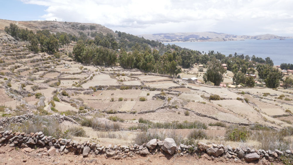 le lac Titicaca