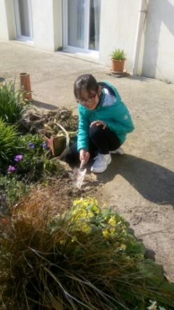 C'est le printemps dans les jardins