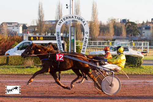 Prix Balfour (Gr A)