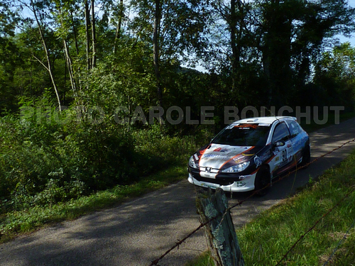 Rallye du Suran 2013