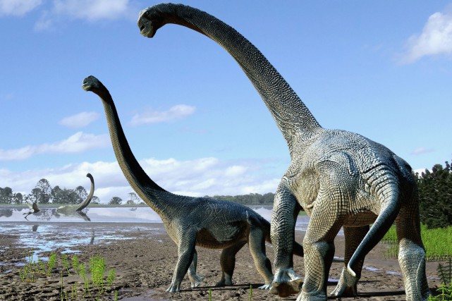 Baptisé Savannasaurus elliottorum, ce dinosaure au long cou... (PHOTO AFP)