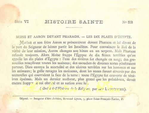 Saint Aaron. Ancien Testament : Prophète, frère de Moïse (-1471 av JC.)