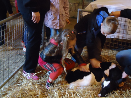 La ferme Idéhalles 3