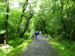 CR / RANDO 15 / ST-MEDARD-de-GUIZIERES