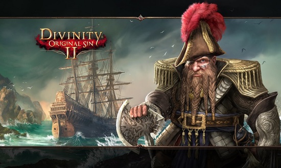 Divinity : Original Sin 2 Definitive Edition "Switch Jeux Vidéos"