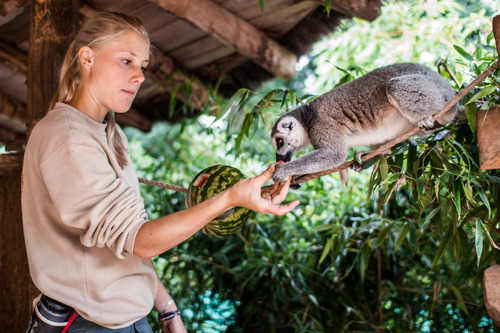 {interview} Exceptionnel ! Interview d'une soigneuse du zoo de la Flèche !