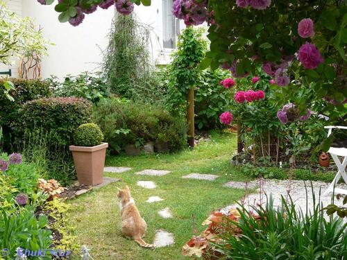 Vues sur jardin....