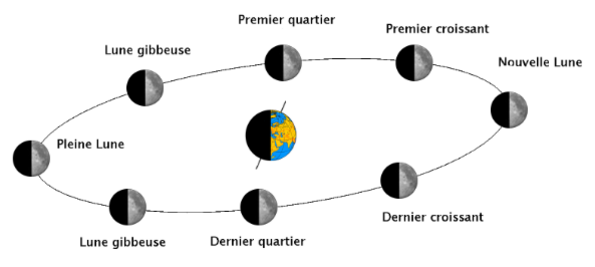 Les phases de la Lune.png