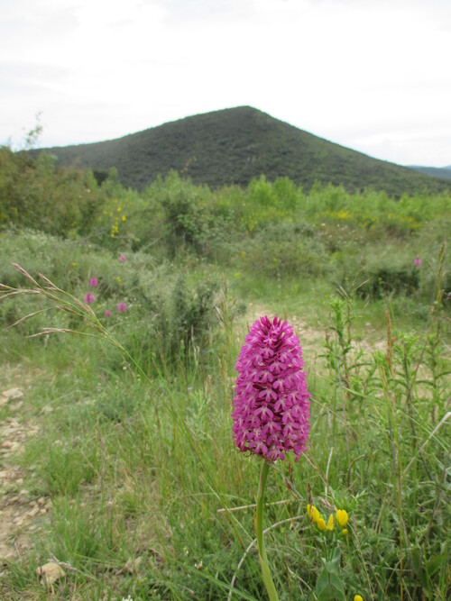 De Liausson à Mourèze