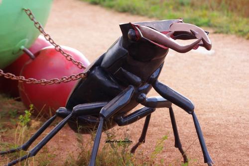 Insectes