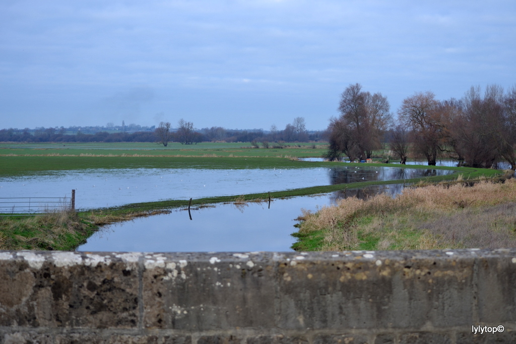 Les marais autour de Sainte Mère Eglise